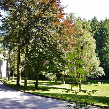 Appartement Happynest*** Mit Hallenbad Willingen  Kültér fotó