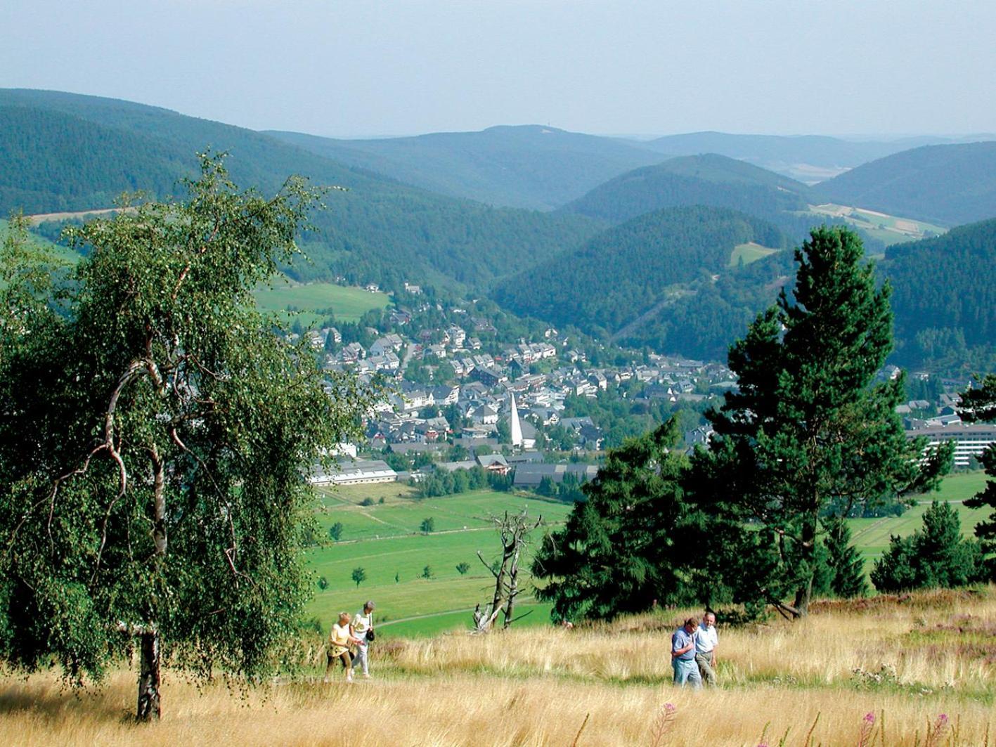 Appartement Happynest*** Mit Hallenbad Willingen  Kültér fotó