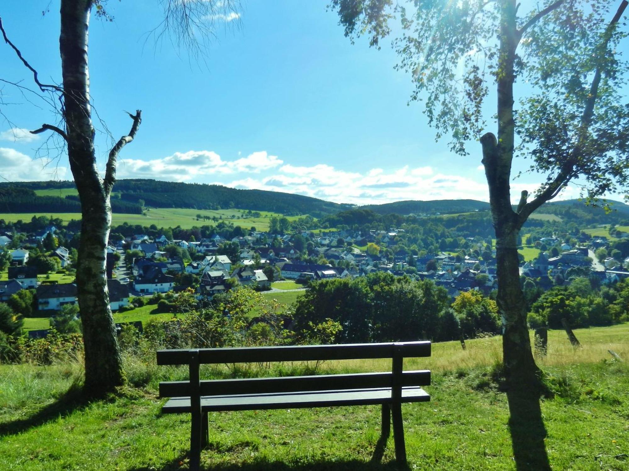 Appartement Happynest*** Mit Hallenbad Willingen  Kültér fotó