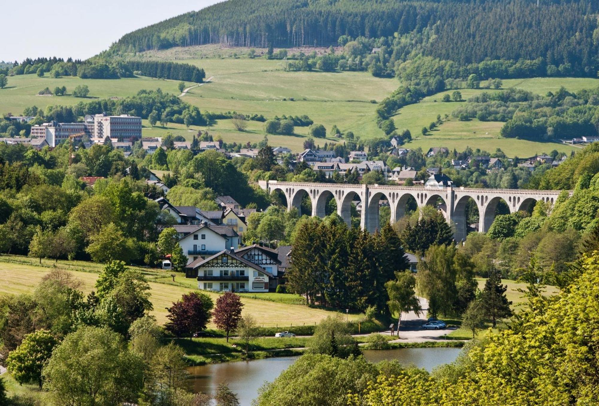 Appartement Happynest*** Mit Hallenbad Willingen  Kültér fotó