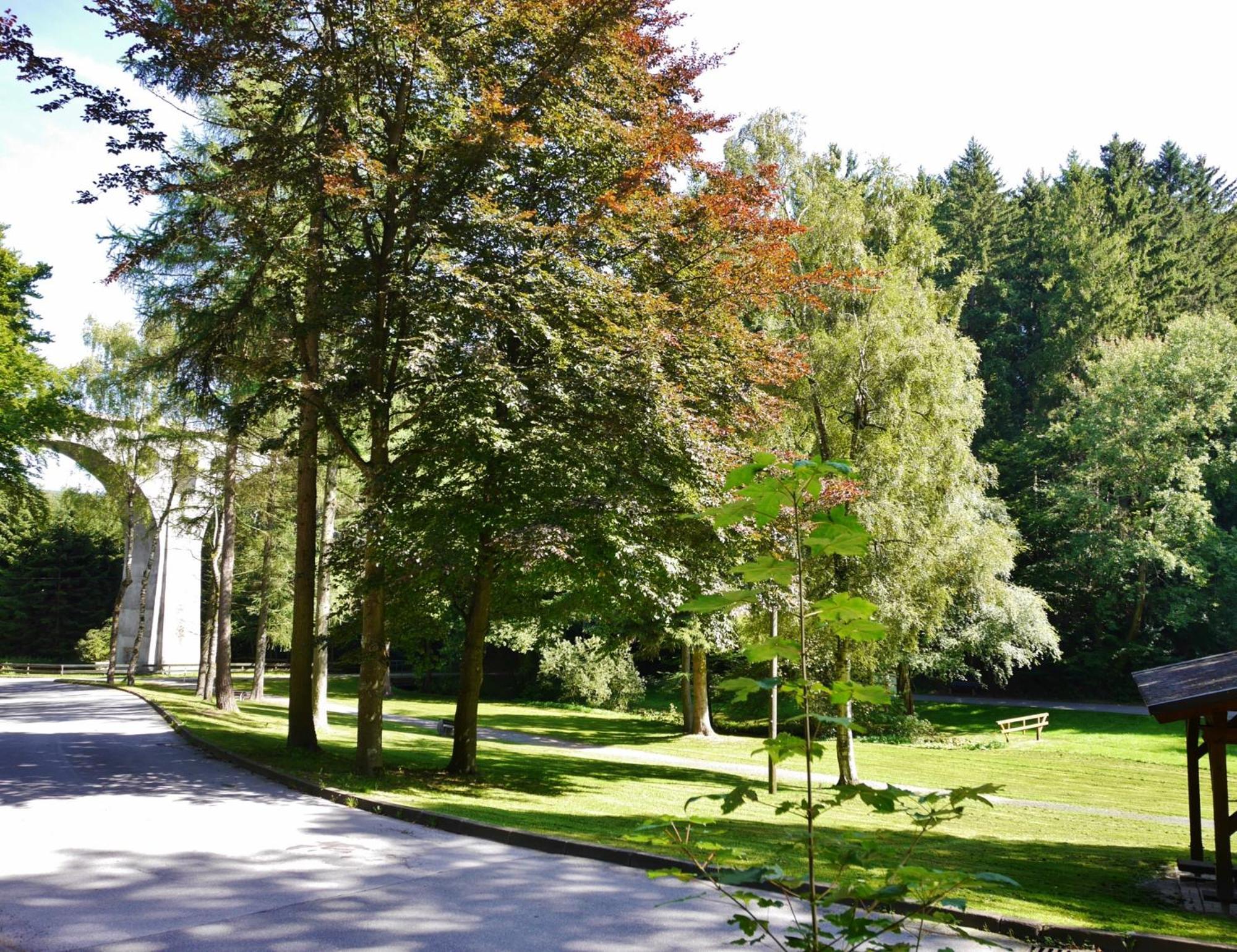 Appartement Happynest*** Mit Hallenbad Willingen  Kültér fotó